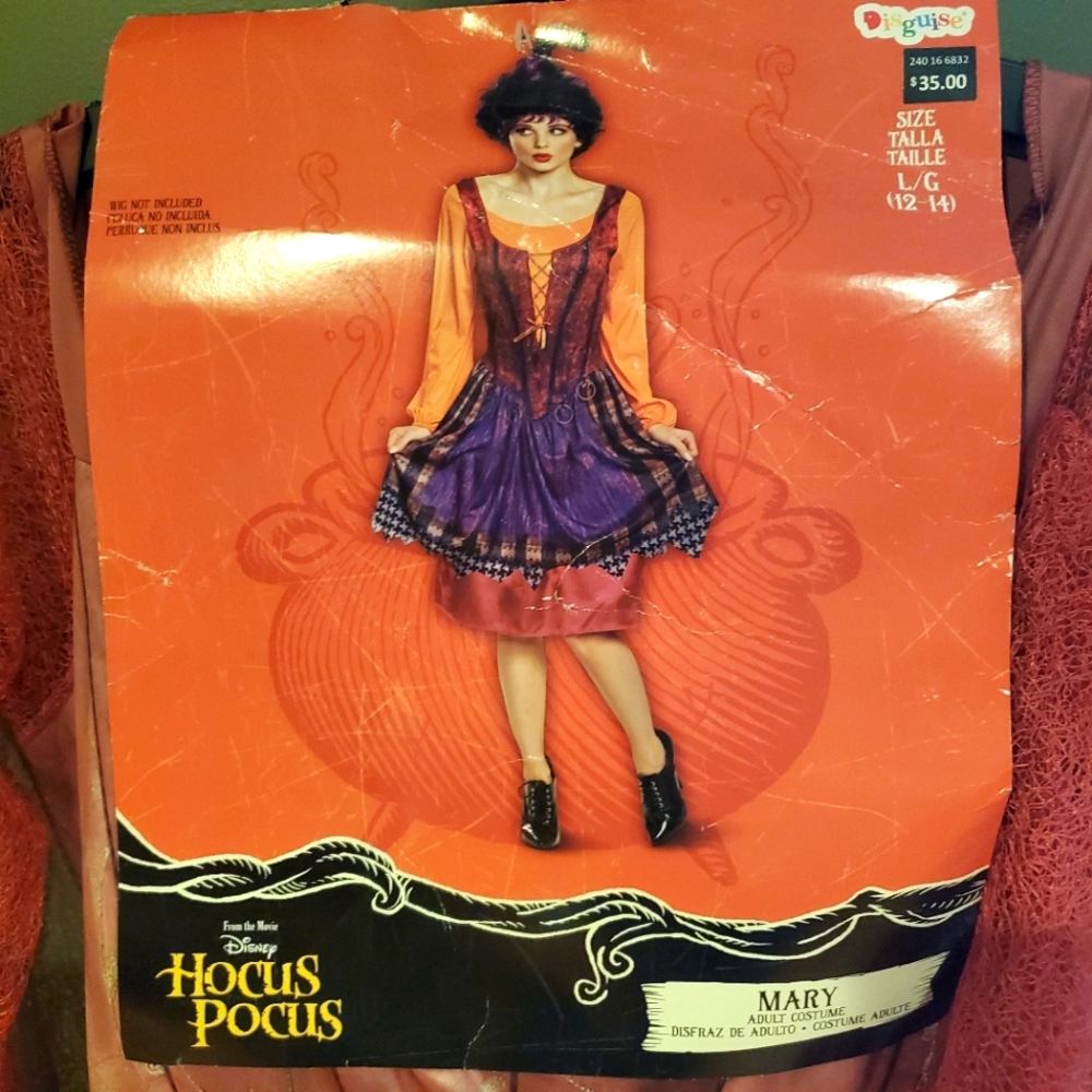Disney Hocus Pocus Mary- Costume- Size Adult Large - RRR Halloween